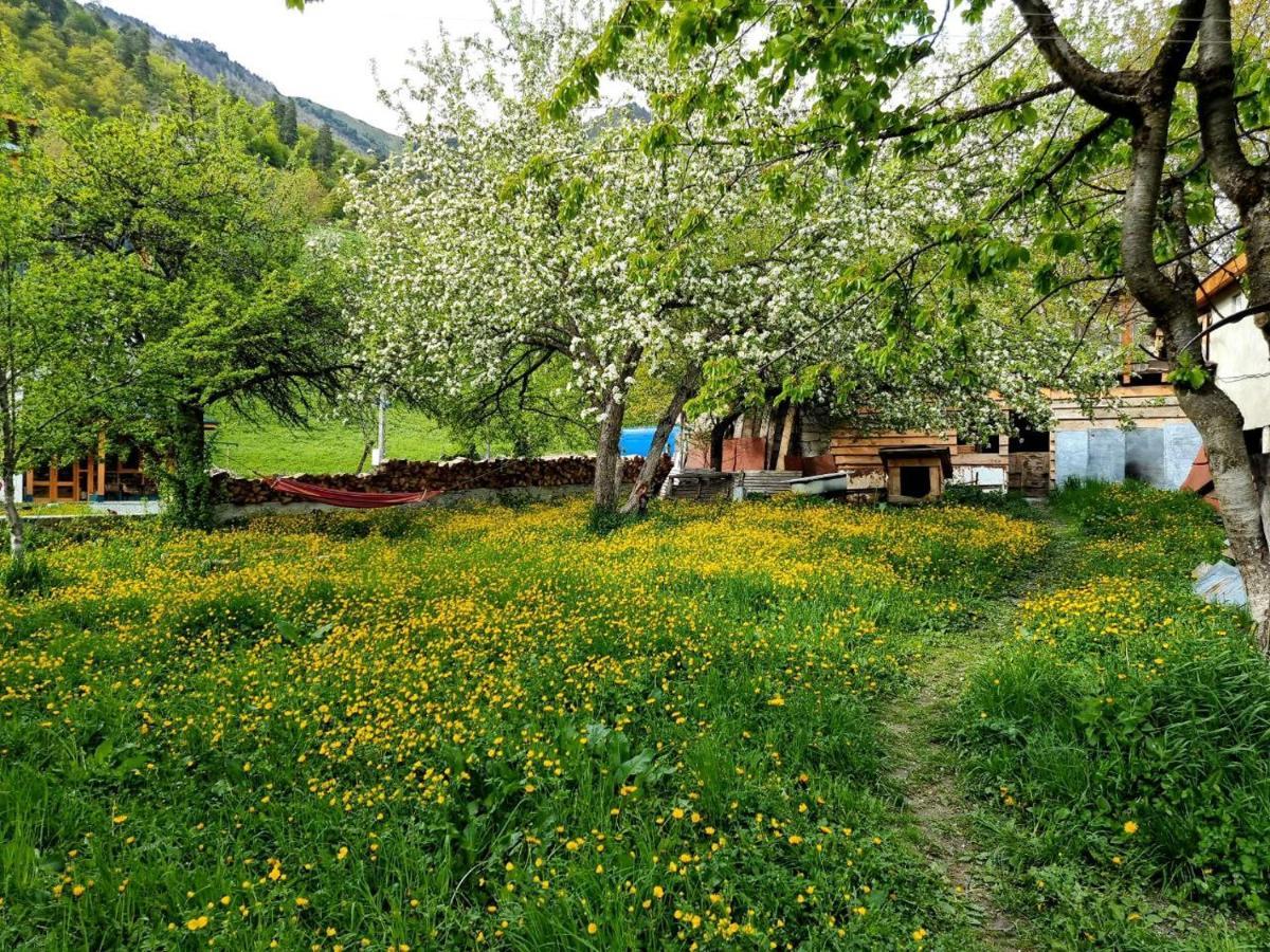 梅斯蒂亚Girgola住宿加早餐旅馆 外观 照片