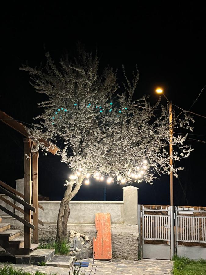 梅斯蒂亚Girgola住宿加早餐旅馆 外观 照片
